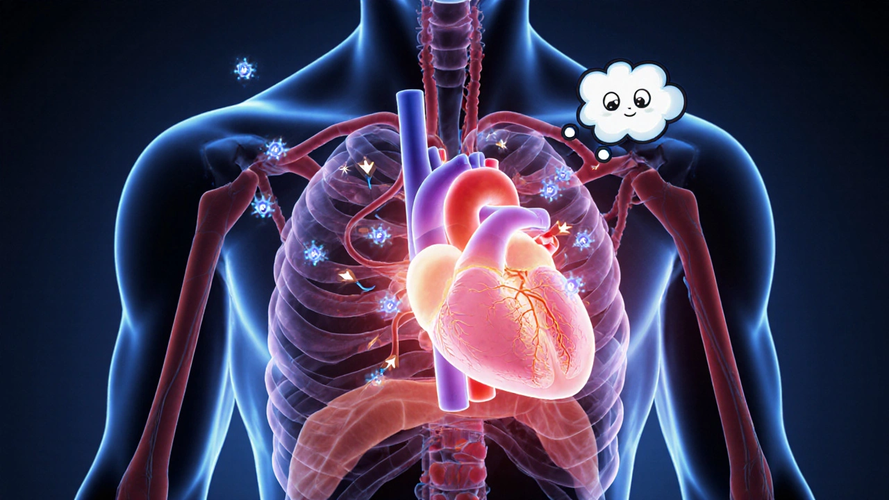 Animated heart with glowing blue particles expanding coronary arteries.
